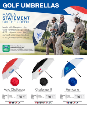 ZOOMcustom Flyer